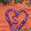 saud9693