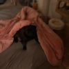 ky_priv78