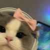 strawbbaiess_0212