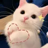 patt74539