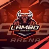 LAMBO ARENA - BILLIARDS & NET