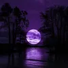 user99681201778136