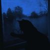 wll_n24
