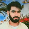 walikhan888467119