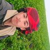 user7123177766981