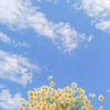 cloudysky766