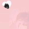 faydh06