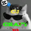 cj_craft1