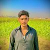 umer.shah3134