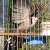 birdworld462