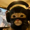 professionalchessplayer