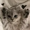 .leila207