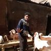 user3750870713446