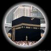 hamza.andar