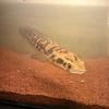 fish_river01