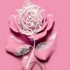 user81106663112345