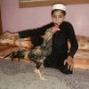 imran.khan72213