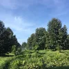 user26kclavvt7