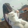 user8091460030