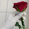 anissa7207