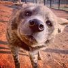 leetheyeen