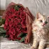 .mimitha3