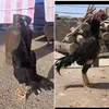 mrishkijwan24
