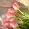 naima.fathallah54