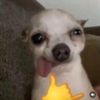 sayhitospooky