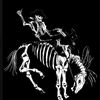 buckaroo143