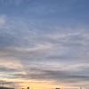 domi_46296