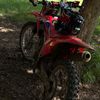 thatcleancrf250f_guy