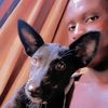 marvel_billyz_dog