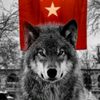 akc.ailesi1