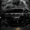 camaros49