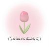 tuhani.alsharif
