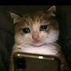 hmoobmuas922