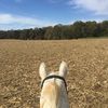 backinthesaddle2