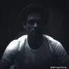 therealbayharboursharer1