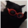 blackcatbandit902