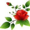 shifat.ahamed619