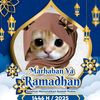 naz_ril222