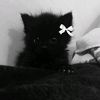 mr_hanto