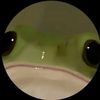 froggythegreat2