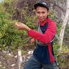 zainuddin.udin70