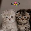 usnaidlovers