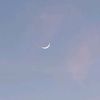 ahmed_5043