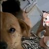 samarlimbu77