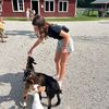 brookie_spam14