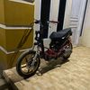 beat_fortuna710